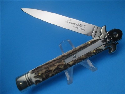 AKC STAG LEVERLETTO PLUS BAYO