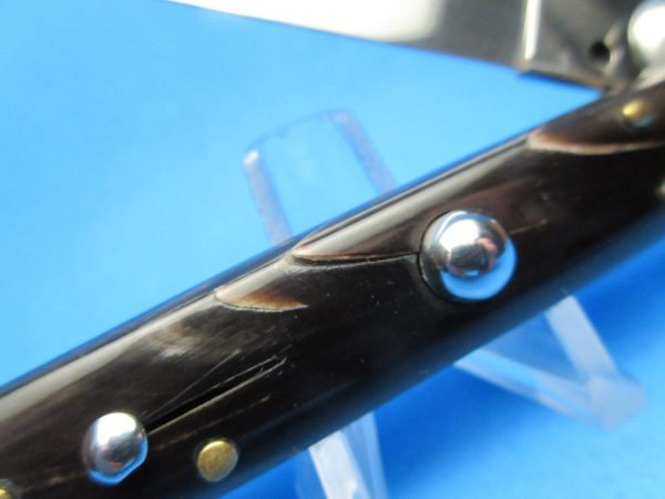 9" Buffalo Horn Flat Grind Scratch & Dent