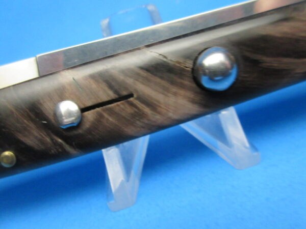 Frank Beltrame 11" Buffalo Horn Bayo SND