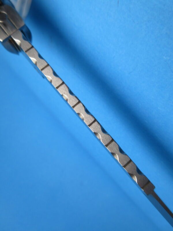 Frank Beltrame 11" Brazilian Horn with Bayonet Blade and Filework - Image 4