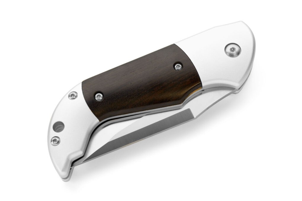 AGA Campolin "Alex" Ebonywood - Image 3